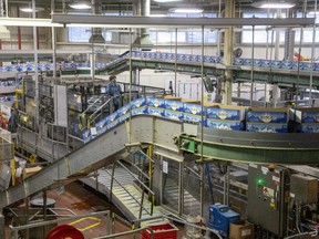 Beer cases zip past bottle line team member Holly Green on conveyor belts to be filled at Labatt Brewery in London earlier this month. Labatt is adding an Ontario Made designation to its products as part of a push to showcase the province's businesses persevering amid the pandemic-pounded economy. (Derek Ruttan/The London Free Press)