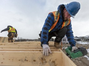 Aaron Dyck who recently started his own construction company, end nails a floor joist into place on the house they are framing at the northeast corner of Kilally Road and Highbury Avenue in London, Ont.  (Mike Hensen/Postmedia Network)