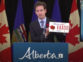 Service Alberta Minister Nate Glubish announced a program expansion to recognize more Alberta veterans Tuesday Nov. 10, 2020.