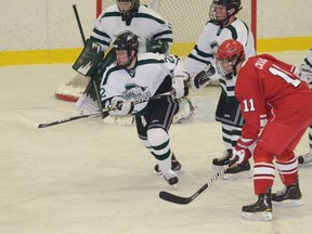 After a three-year career at Morrisville State College that wrapped up in 2013, Stratford's Jamie Nelson was named to the school's All-Decade Men's Ice Hockey Team for the 2010s. (Morrisville State College photo)