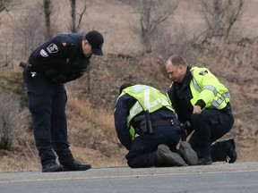 Greater Sudbury Police investigate a fatal collision involving a pedestrian and a pick-up truck on MR 55 between Balsam Street and Big Nickel Road in Greater Sudbury, Ont. on Friday November 27, 2020.