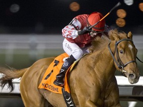 Jockey Steven Bahen guides Red River Rebel to victory in the $100,000 Frost King Stakes at Woodbine on Nov. 20, 2020.