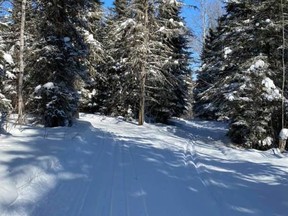 The Cochrane X-Country Ski Club is looking forward to getting out on the trails once weather permits. Skiing is one sport that can adhere to social distancing. Ski Club file photo