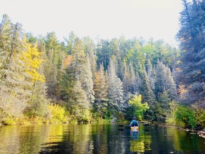 Darrin is dwarfed by the soaring conifers along the Tadley Creek shoreline.