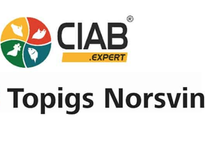 Topigs CIAB