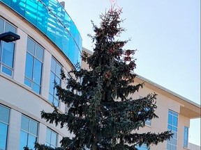 The beautiful Christmas tree standing in front of the Sills Wing was donated in the memory of Helen June Shannik, who worked in Belleville General Hospital's HSR Department (Emergency). She passed away October 23.
SUBMITTED PHOTO
