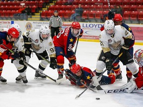 Trenton Golden Hawks and Wellington Dukes will begin the eight-game Hasty P's Cup Wednesday, Nov. 11 in Wellington.
AMY DEROCHE/OJHL IMAGES

Editorial Use