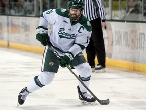 Delhi's Adam Brady recently completed his NCAA career at Bemidji State University. He has signed an American Hockey League contract with the Stockton Heat.