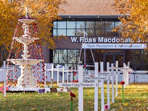 Staff and students at W. Ross Macdonald School created a tactile art installation representing Flanders Fields.