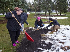Brantford Food Forest volunteers (from left) Serena Vizsy, Rebecca Elliott, Rachael Sawczuk and Riley Jauniaux work to put down mulch in one of the garden beds at the project, located in Parsons Park on Ontario Street in Brantford.