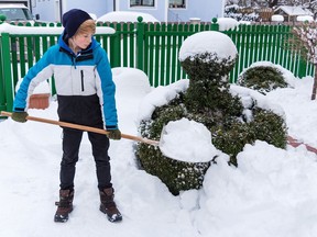 Brant County is looking for "snow buddies" to help seniors and those who require help with their basic snow removal needs.