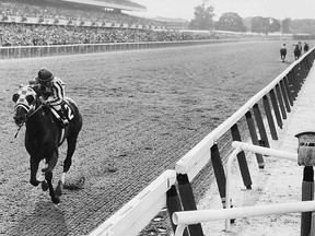 Secretariat approaches the finish line to win the 1973 Belmont Stakes by a record 31 lengths. Associated Press

XKRT (AP) PL