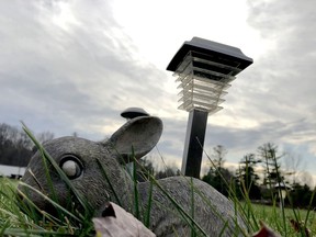 A small grave pays tribute to a departed pet at Brockville's pet cemetary. City council is considering a motion to get out of the pet burial business, although existing graves will remain for people to visit. (RONALD ZAJAC/The Recorder and Times)