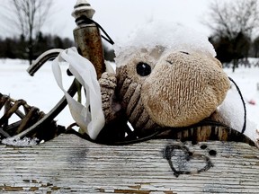 A stuffed toy adorns one of the graves at Brockville's pet cemetery on Wednesday morning. (RONALD ZJAC/The Recorder and Times)