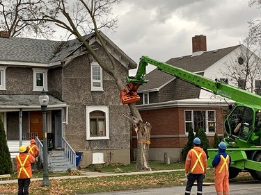 Some heavy machinery enabled this crew to quickly and safely remove a tree that was snapped by a strong wind, sending it crash into a home on Victoria Avenue in Chatham on Sunday afternoon. Ellwood Shreve/Chatham Daily News/Postmedia Network