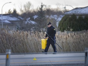 OPP officers investigate a fatal motor-vehicle collision Monday, Nov. 23, 2020, on the eastbound lanes of Highway 401, east of Queen Street North near Tilbury, Ont. 
(DAX MELMER/Postmedia Network)