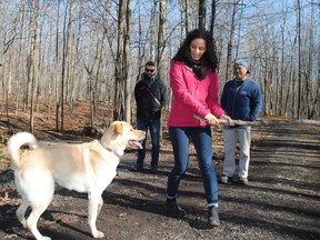 Michelle Depass, centre, plays a game of stick with her dog, Kaya, while companion Ian Ryerse, left, and father Earl Depass look on while the three and Depass' mother, Francine (not pictured) enjoy a walk on the Summerstown Trails, Saturday, Oct. 31 in South Glengarry, Ont.  Greg Peerenboom/Special to the Cornwall Standard-Freeholder/Postmedia Network