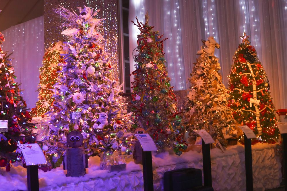 Festival Of Trees 2024 Fort Mcmurray Lindi Perrine