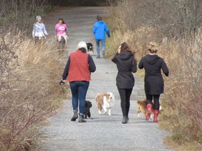 People walk along a trail at the Little Cataraqui Creek Conservation Area in Kingston on Nov. 20.