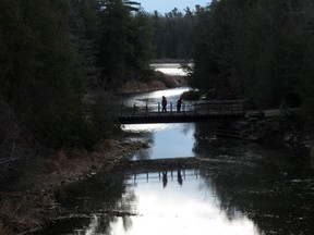 Visitors to Parrott's Bay Conservation Area cross a foot bridge in Amherstview, Ont. on Friday, Nov. 20, 2020. Local conservation authorities are speaking out against the provincial government changes to how they operate.
Elliot Ferguson/The Whig-Standard/Postmedia Network