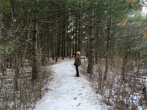 Bill Depew of the Kingston Field Naturalists looks for birds at the Little Cataraqui Creek Conservation Area in Kingston. The organization's annual Christmas Bird Count is set for Sunday, Dec. 20.