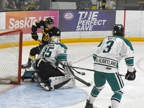 The Nipawin Hawks lost the second of a two-game series against the La Ronge Ice Wolves on Tuesday, Nov. 17, falling 6-3 on home ice. Photo Susan McNeil.