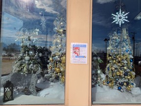 The CPAN Festival of Trees Snowflake Soiree Christmas trees are available for viewing at 1375 Pembroke Street West. The virtual fundraiser will be held Nov. 21 to raise money for the Renfrew County Child Poverty Action Network.