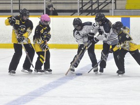 Kennady Ahrens (33), Emma Paulen and Keera Watt (19, right) of the Mitchell U12 Ward ringette team battle Tayla Paulin (17) and Leighton Lichti for possession of the ring during action Oct. 31 at the Mitchell & District Arena. Mitchell jumped out to a 7-2 halftime lead and cruised to an 11-2 win. ANDY BADER/MITCHELL ADVOCATE