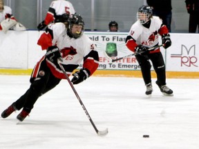 Waterford's Troy Killick handles the puck while Caleb Dunbar keeps his eye on the Raiders in this game from February between Waterford District High School and Delhi District Secondary School  in NSSAA hockey play.   (ASHLEY TAYLOR)