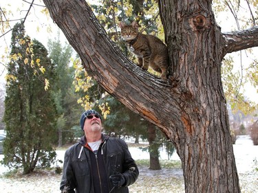 Wil Rennehan keeps an eye on his cat, Manos, while the feline surveys the surroundings in Sudbury, Ont. on Tuesday November 3, 2020. John Lappa/Sudbury Star/Postmedia Network
