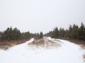 Deschene Road view of location of a proposed large development in Hanmer, Ont.