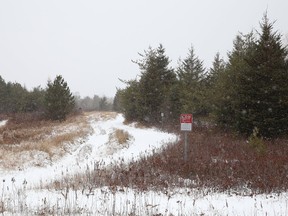 Deschene Road view of the location of a proposed large development in Hanmer.