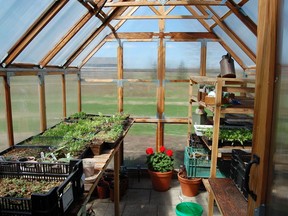 Mark Cullen's greenhouse is practical – a cedar frame kit with cantilevered windows for ventilation. In the spring, a small electric heater keeps tender seedlings frost-free. Supplied