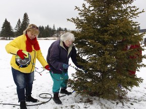 Porcupine Horticultural Society president Billie Rheault, left and secretary Margaret Hoggett, were setting up the lights on a Christmas tree near St. Paul's Anglican Church in South Porcupine on Thursday for annual community tree-lighting ceremony taking place this Saturday at 7 p.m. Rheault is inviting everyone to come out for the ceremony but, in keeping with COVID-19 protocols, the public will be asked to stay in their cars to avoid a large gathering of people huddled together.

RICHA BHOSALE/The Daily Press