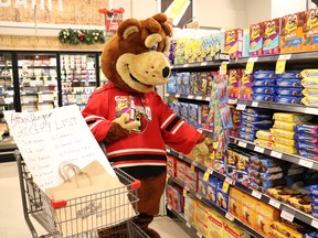 Owen Sound Attack mascot Cubby gets some holiday shopping done at the Owen Sound Foodland and picks up donations for the Attack Hunger Campaign, which this year has been adapted amid the COVID-19 pandemic and the postponement of the 2020-21 OHL season. Photo courtesy of Steenika Gilbert/Attack Hockey.