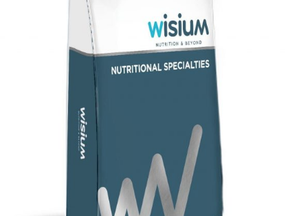 wisium