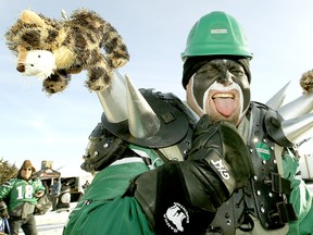 Saskatchewan Roughriders fan Norm Tatton from Saskatoon was dressed up and in the mood for a great time as he headed towards Mosaic Stadium in Regina before the start of the 101st CFL Grey Cup between the Saskatchewan Roughriders and the Hamilton Tiger-Cats in 2013. File photo/Postmedia