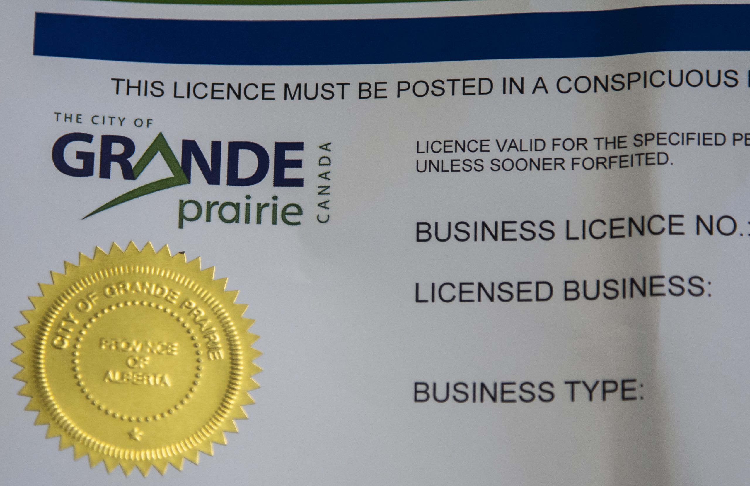City council passes new business licensing bylaw Grande Prairie Daily Herald Tribune