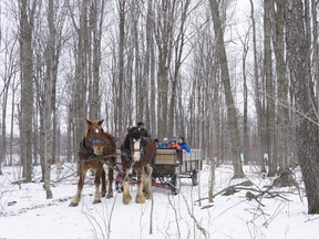 Perth County tourism operators will soon have the opportunity to learn how to design and offer tourism experiences thanks to nearly $50,000 in government funding for the county's certified experiences program. Pictured, visitors at McCully's Hill Farm in Perth South enjoy a winter wagon ride. Submitted photo