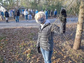 Romayne Smith-Fullerton and her Port Franks neighbours are urging Lambton Shores council to do something about the community's gypsy moth infestation. She is standing with a pine tree the group says was killed by gypsy moth caterpillars. Derek Ruttan/Postmedia Network