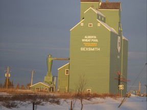The Sexsmith elevator almost appears to glow as the early morning sun catches it. The building was designated as a  municipal historic resource Ñ a real asset for the Sexsmith Museum Society.
RANDY VANDERVEEN, 
2020-12-03