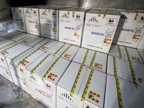 Boxes containing Pfizer's COVID-19 vaccine are unloaded from air shipping containers at UPS Worldport, in Louisville, Kentucky on Dec. 13. Michael Clevenger/Pool via REUTERS/File Photo