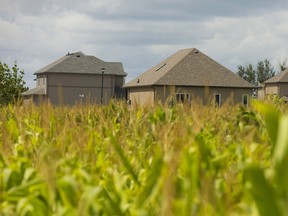 Homes in Strathroy. The region’s red-hot housing market is so starved for homes to sell that everything on the market would be gone in less than a month if no new houses came on stream, realtors say. The tight projection came amid another record month for home sales in the area in November, one that’s left the lowest number of homes in a decade for buyers to choose from, the London St. Thomas Association of Realtors (LSTAR) said Dec. 7. File photo/Postmedia Network