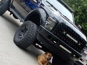 The Woodstock police are appealing to the public for information on a stolen truck. Police responded to a report of a suspected stolen vehicle in the area of Canterbury and Beale streets Tuesday. Their investigation found it was stolen between Monday at 10 p.m. and Tuesday at 7:30 a.m.

Handout