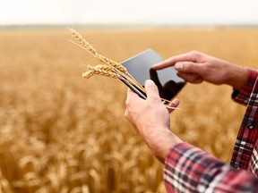 GPRC and Lakeland College have formed a partnership to benefit agricultural programming. Photos submitted