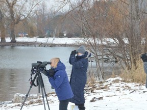 Owen Sound Christmas Bird Count participants, from left, Lynne Richardson, Norah Toth and Alfred Raab, view waterbirds on Owen Sound Bay on Saturday, December 19, 2020.