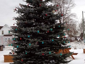 The Thessalon Christmas tree stands at the community garden on Main Street. The Christmas tree came to North America not via England, but again through Germany. Elizabeth Creith
