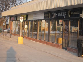 The Harp Bar and Grill at Pine Plaza FILE PHOTO