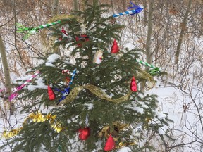 A Cold Lake grandmother decorated a neighbourhood tree as a way to feel close to her granddaughter.