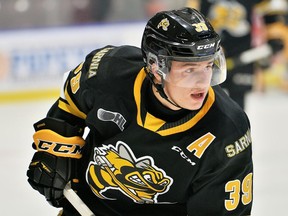 Sarnia Sting forward Jamieson Rees. (Terry Wilson/OHL Images)